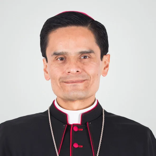 luis-manuel-perez-raygoza MIEMBRO DE LA COMISIÓN
