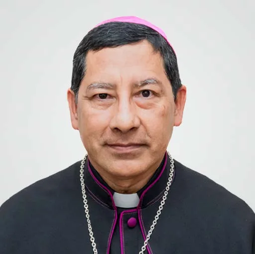mario-medina-balam MIEMBRO DE LA COMISIÓN
